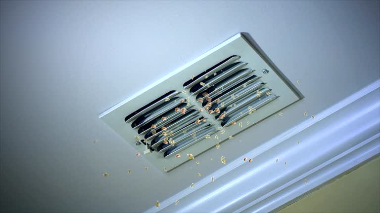 Best Residential Air Duct Cleaning  in Roanoke, AL