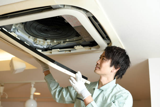 Best Professional Duct Cleaning Services  in Roanoke, AL