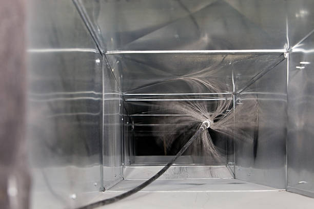 Best Best Air Duct Cleaning Company  in Roanoke, AL