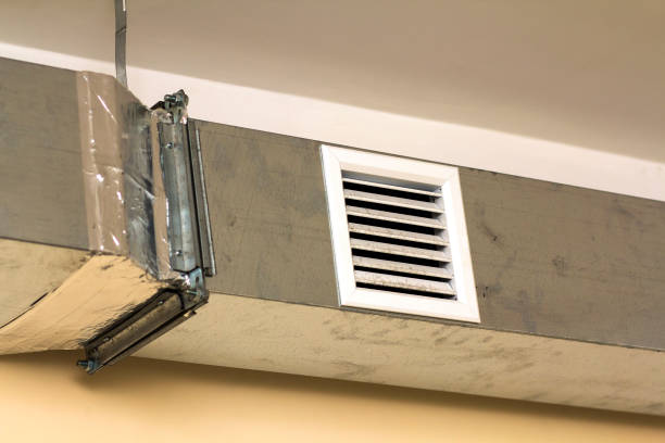 Best Ventilation Cleaning Services  in Roanoke, AL