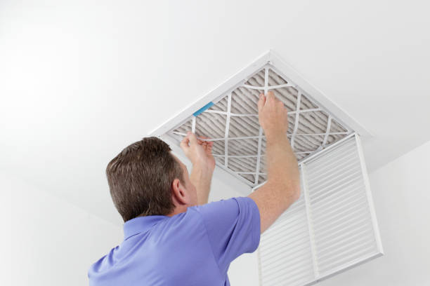 Best Ductwork Cleaning Services  in Roanoke, AL